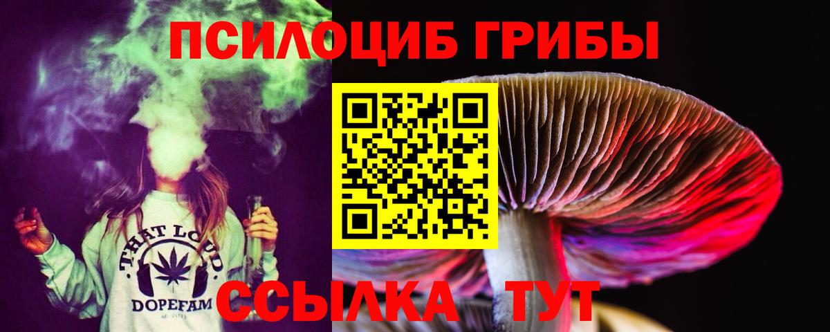 Псилоцибиновые грибы прущие грибы Нижневартовск